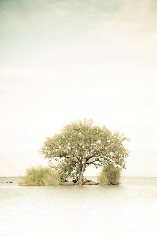 无人,竖图,室外,白天,留白,旅游,度假,美景,芦苇,尼加拉瓜,小的,岛,光,景观,娱乐,格拉纳达,树,风景,自然,享受,休闲,景色,放松,摄影,宁静,明亮,自然风光,旅行