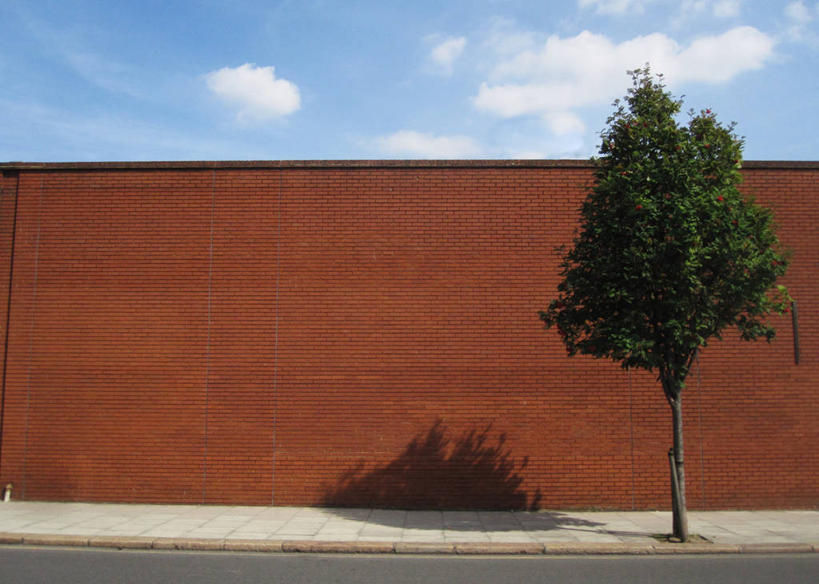 无人,横图,室外,白天,留白,街道,英国,人行道,围墙,首都,砖墙,树,摄影,彩图,独处