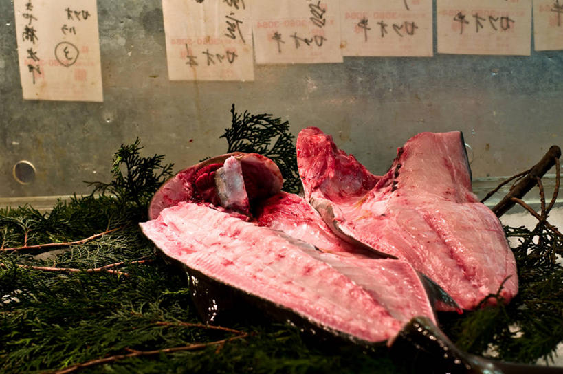 无人,横图,室外,特写,白天,植物,东京,日本,切片,日文,纸,肉,生食,首都,肉类,鱼类,摄影,肉食,健康食物,陈列柜,筑地市场,海产,彩图,鱼市