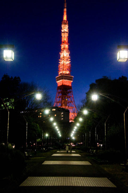 竖图,室外,夜晚,天际线,道路,建筑,路,路灯,公路,日本,一排,日本文化,整齐,交通,首都,排列,摄影,东京塔,照亮,队列,无线电通信塔,马路,彩图