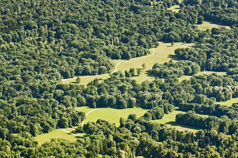 无人,公园,横图,俯视,航拍,室外,白天,草坪,树林,德国,地形,慕尼黑,草,树,绿色,风景,摄影,鸟瞰,巴伐利亚,彩图,高角度拍摄,英国花园