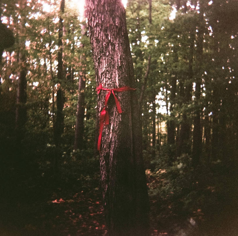 无人,方图,室外,白天,树林,纺织品,美国,包装,带子,缎带,树干,红色,自然,摄影,宁静,提示,环境保护,想法,彩图