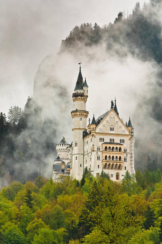 无人,竖图,室外,白天,山,树林,植物,雾,建筑,德国,城堡,云,塔,宏伟,树,树木,绿色,自然,摄影,生长,成长,德国文化,新天鹅城堡,巴伐利亚,施万高,彩图