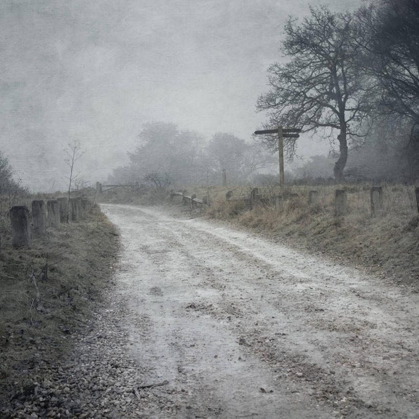 无人,方图,室外,白天,旅游,度假,美景,雾,英国,美国,景观,娱乐,树,天空,自然,享受,休闲,景色,放松,摄影,宁静,北美,北美洲,自然风光,美洲,北卡罗来纳州,北亚美利加洲,亚美利加洲,北卡罗来纳,焦油脚根之州,黑油鞋根之州,老北州,萨里市,彩图,美利坚合众国,吉尔福德郡