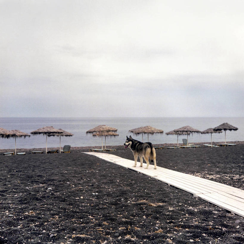 无人,站,方图,室外,白天,海洋,美景,狗,野生动物,希腊,欧洲,遮阳伞,景观,水平线,自然,景色,摄影,宁静,基克拉迪群岛,圣托里尼岛,自然风光,希腊共和国,基克拉泽斯群岛,海滩,彩图