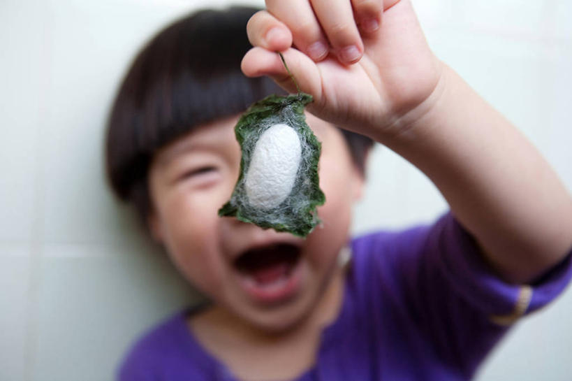 儿童,脸,头,脸颊,一个人,横图,白色背景,纯洁,上海,仅一个男性,仅一个人,昆虫,蚕,拿着,休闲装,肩膀,小孩,张嘴,仅一个小孩,可爱,童年,童趣,摄影,茧,享乐,肖像,张大嘴巴,童真,烂漫,无邪,恶作剧,天真,男孩,男人,男性,中国人,孩子,头部,脸部,脸蛋,面部,张开嘴,彩图,影棚拍摄,男生