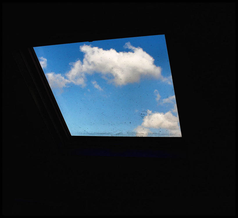 无人,横图,室内,白天,英国,欧洲,天窗,云,英格兰,天空,自然,摄影,西欧,大不列颠,大不列颠及北爱尔兰联合王国,大不列颠及爱尔兰联合王国,萨塞克斯,萨塞克斯郡,苏塞克斯,东萨塞克斯郡,彩图,大不列颠王国,大英帝国,联合王国,日不落帝国,布赖顿