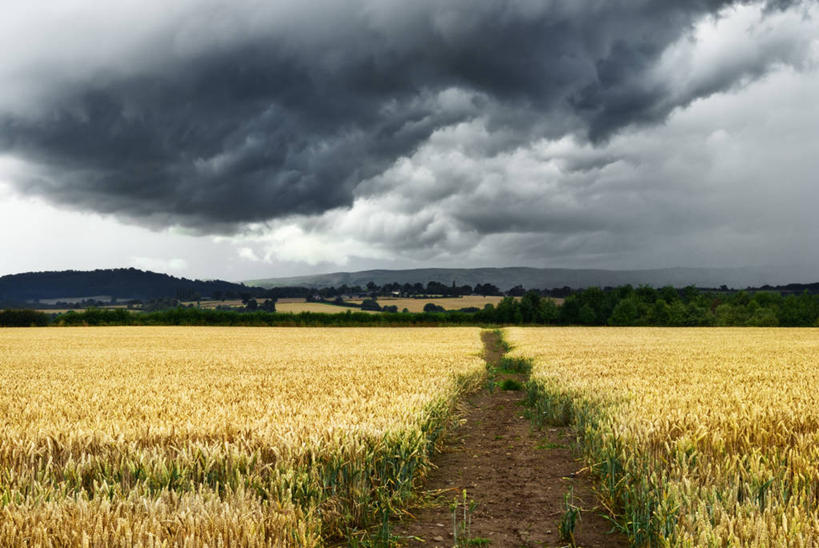 无人,横图,室外,白天,美景,英国,欧洲,地形,景观,田地,乌云,小路,英格兰,草,天空,自然,景色,摄影,生长,宁静,西欧,自然风光,大不列颠,大不列颠及北爱尔兰联合王国,大不列颠及爱尔兰联合王国,西米德兰兹郡,英吉利,西米德兰兹,什罗普郡,彩图,大不列颠王国,大英帝国,联合王国,日不落帝国,什鲁斯伯里,舒茲伯利
