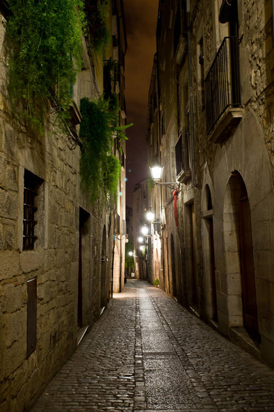 无人,竖图,室外,夜晚,植物,窗户,建筑,街道,路灯,西班牙,拱门,摄影,宁静,照亮,赫罗纳省,彩图