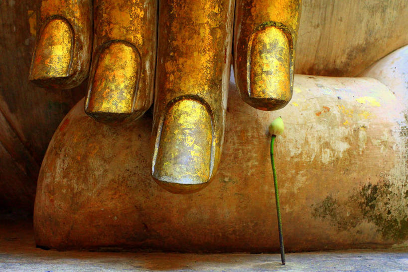 无人,横图,室内,特写,泰国,艺术,盛开,标志,符号,花蕾,历史,标识,佛,素可泰,花,花瓣,花朵,鲜花,一朵,花苞,花蕊,手指,人体,摄影,佛教,性别符号,灵性,彩图,素可泰遗址公园,男性符号