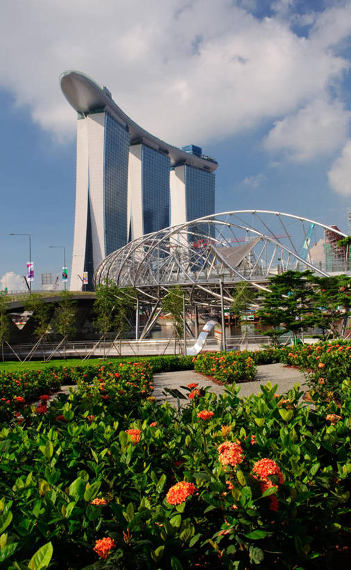 无人,公园,竖图,室外,植物,城市,建筑,摩天大楼,新加坡,螺旋,云,桥,联系,花,天空,自然,摄影,人行桥,清新,彩图,滨海湾金沙酒店