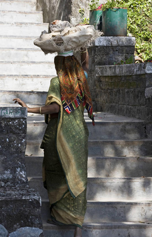 成年人,一个人,竖图,室外,白天,建筑业,印度,仅一个女性,工作,拿着,台阶,工人,背面,头顶,摄影,上升,努力,印度文化,纱丽,喜马偕尔邦,员工,彩图,传统服装,匠人,劳动者,体力工