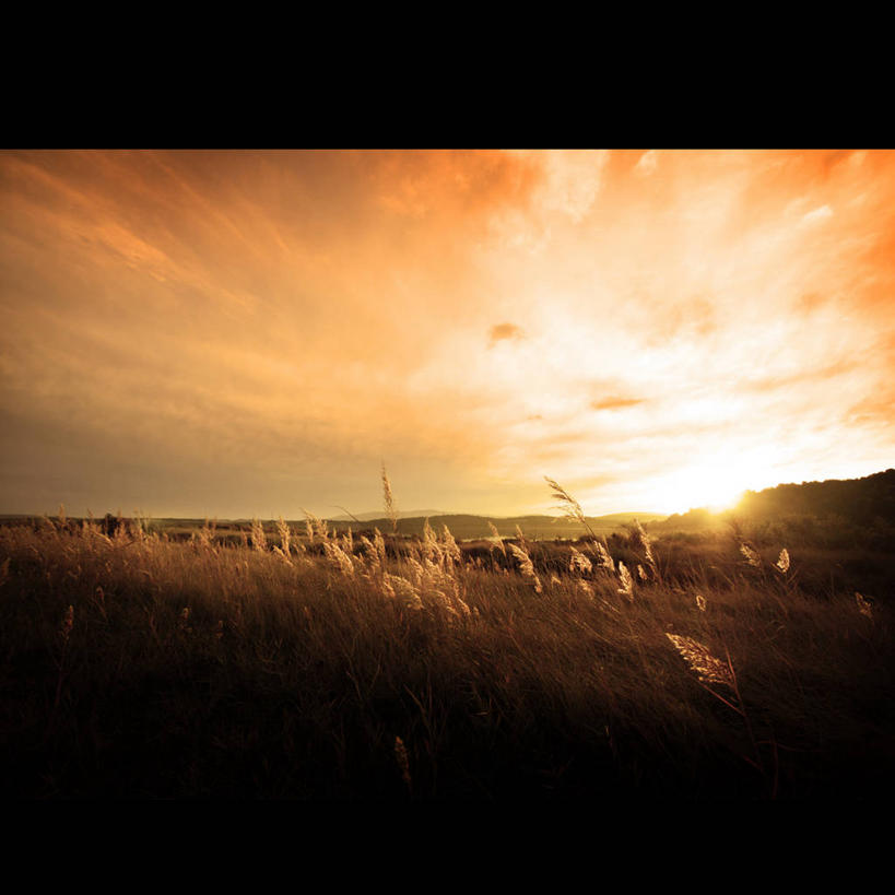 无人,方图,室外,美景,日落,风,日光,法国,摇摆,景观,晚霞,霞光,落日,草,风景,天空,自然,黄昏,景色,彩霞,摄影,生长,宁静,自然风光,夕照,薄暮,夕阳,彩图,傍晚,斜阳,奥德