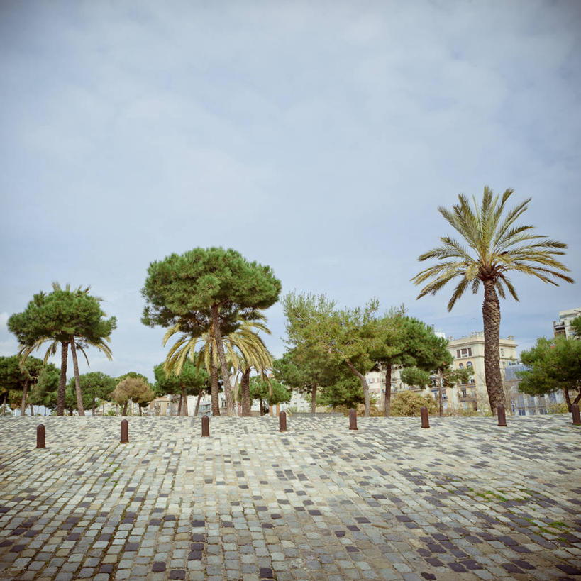 无人,广场,方图,室外,白天,松树,棕榈树,西班牙,巴塞罗那,云,天空,自然,摄影,宁静,彩图