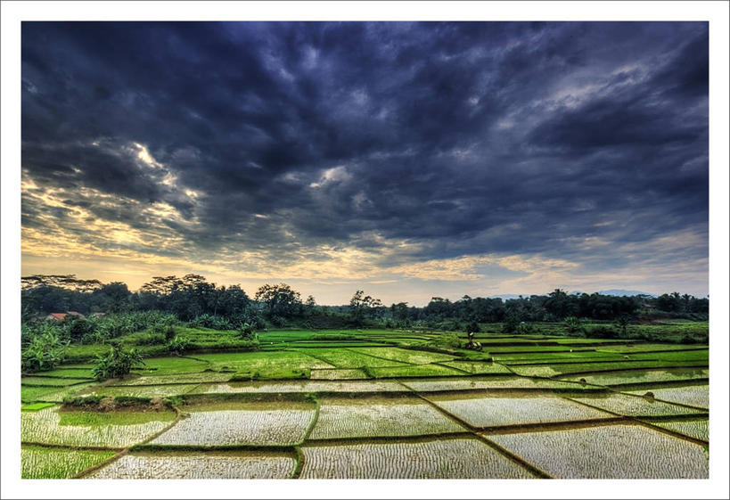 无人,横图,室外,白天,美景,多云,印度尼西亚,地形,景观,田地,树,风景,天空,自然,景色,摄影,宁静,自然风光,西爪哇,彩图,万隆