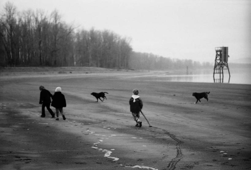 西方人,儿童,三个人,跑,横图,黑白,室外,白天,纯洁,宠物,狗,欧洲,美国,欧洲人,沙子,河岸,冬天,树,小孩,背面,天空,自然,动物,两只,可爱,童年,童趣,摄影,救生椅,北美,享乐,童真,烂漫,无邪,俄勒冈州,哥伦比亚河,波特兰,天真,男孩,女孩,白种人,孩子,休闲活动