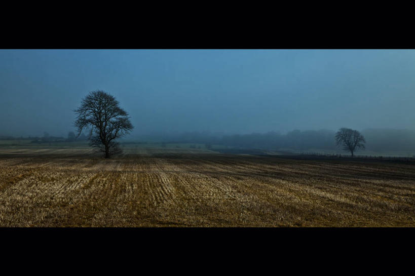 无人,横图,室外,白天,农业,雾,爱尔兰,田地,天气,树,天空,自然,摄影,生长,宁静,康诺特省,彩图,高维郡