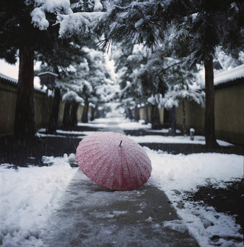无人,竖图,室外,白天,雪,日本,伞,冰,冬天,小路,树,自然,寒冷,摄影,京都府,保护,大德寺,彩图