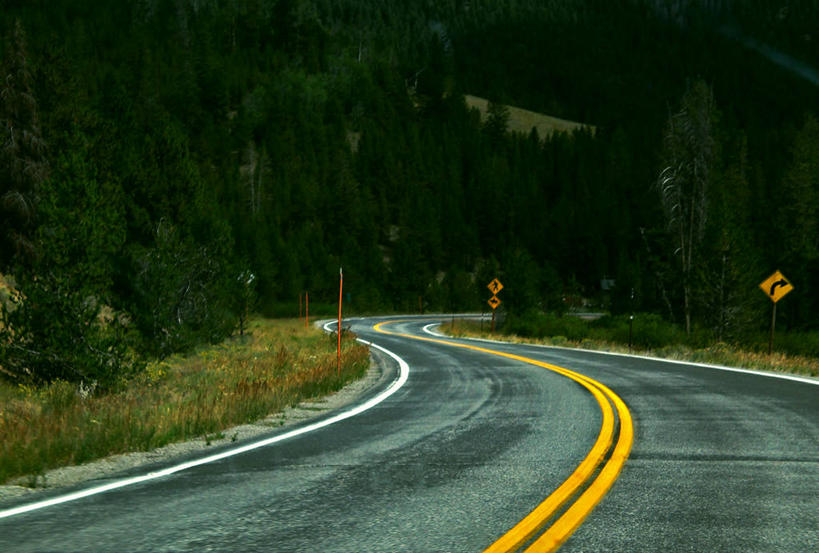 无人,横图,室外,白天,美国,弯曲,树,摄影,宁静,交通标志,爱达荷,彩图