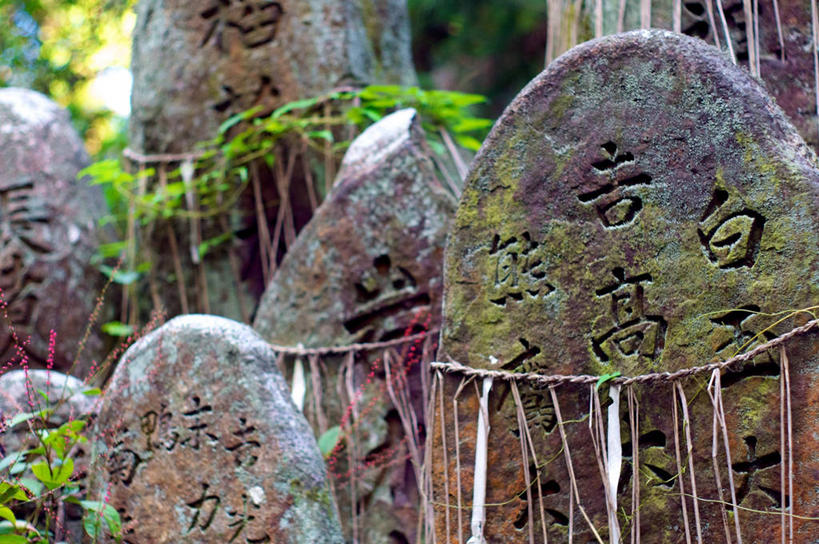 无人,横图,室外,白天,京都,日本,亚洲,节日,日本文化,文字,文化,祈祷,健康,线绳,许愿,摄影,宗教,信仰,京都府,纪念,神道,祈求,神殿,真菌,东亚,本州,本州岛,日本国,近畿地方,近畿,神道教,灵性,伏见稻荷大社,伏见区,平安,彩图