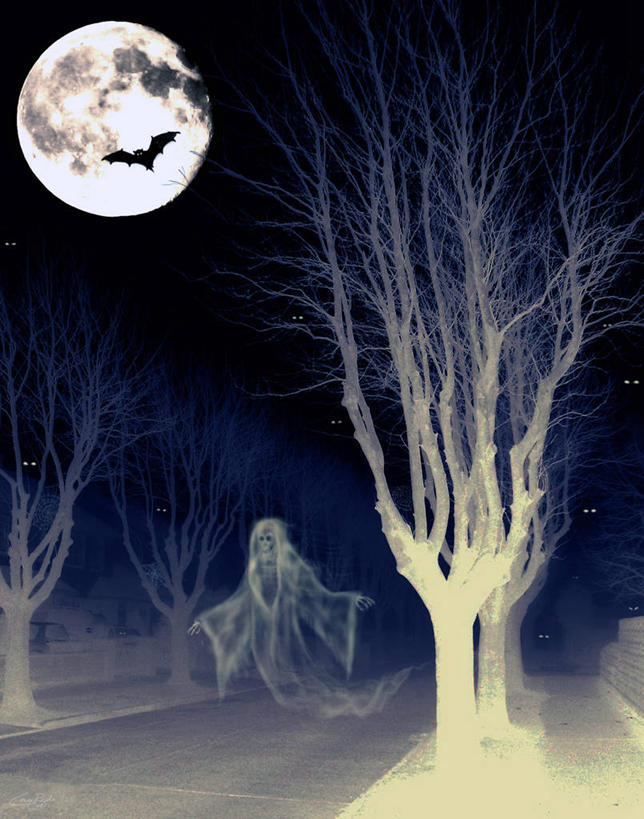 无人,竖图,室外,夜晚,街道,蝙蝠,哺乳动物,野生动物,爱尔兰,庆祝,满月,郊区,首都,半空,飞,天空,动物,万圣节,摄影,怪异,威胁,惊骇,彩图,窥视,鬼,林荫大道