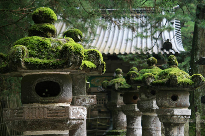 无人,横图,室外,白天,建筑,日本,亚洲,日本文化,灯笼,屋顶,苔藓,摄影,宗教,神殿,东亚,本州,关东地方,本州岛,日本国,崎玉,崎玉县,彩图,日高市,传统文化