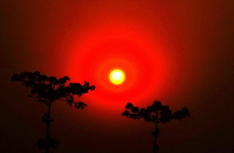 无人,横图,室外,美景,太阳,尼泊尔,景观,黎明,风景,自然,景色,摄影,宁静,自然风光,剪影,树梢,博卡拉,彩图