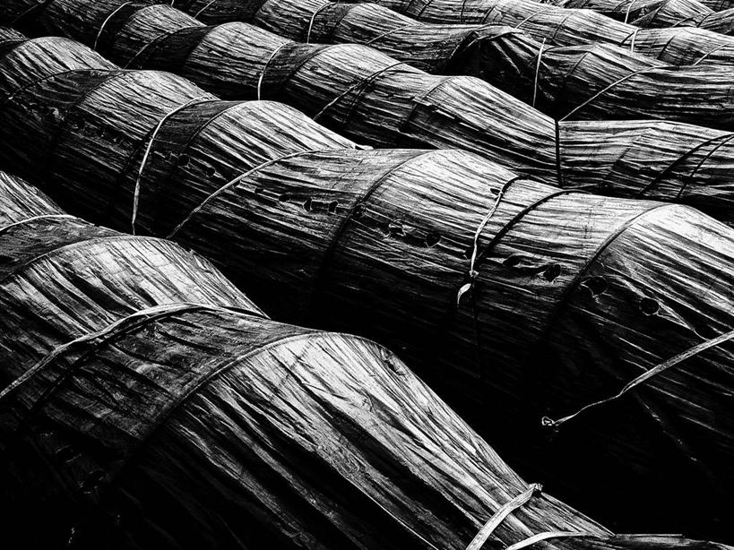 无人,横图,黑白,室外,白天,背景,树林,日本,五个,一排,许多,环保,整齐,排列,摄影,能源,回收,资源,队列,利用,低碳,循环,崎玉县,持续,全画面,全框架,全帧,全画幅