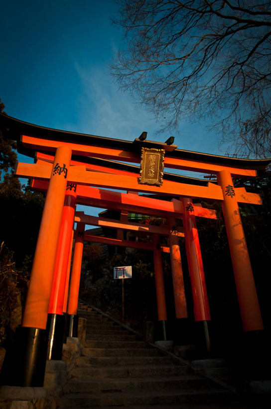 无人,竖图,室外,白天,仰视,建筑,京都,日本,亚洲,日本文化,鸟居,树,天空,自然,摄影,宗教,京都府,宁静,神殿,东亚,本州,本州岛,日本国,近畿地方,近畿,京都市,伏见稻荷大社,伏见区,彩图,低角度拍摄,传统文化