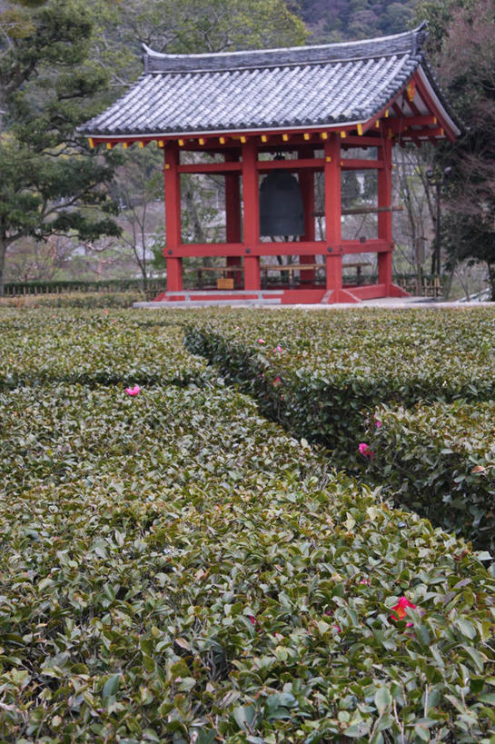 无人,竖图,室外,白天,农业,叶子,日本,屋顶,田地,塔,树,摄影,宗教,生长,京都市,茶花,彩图