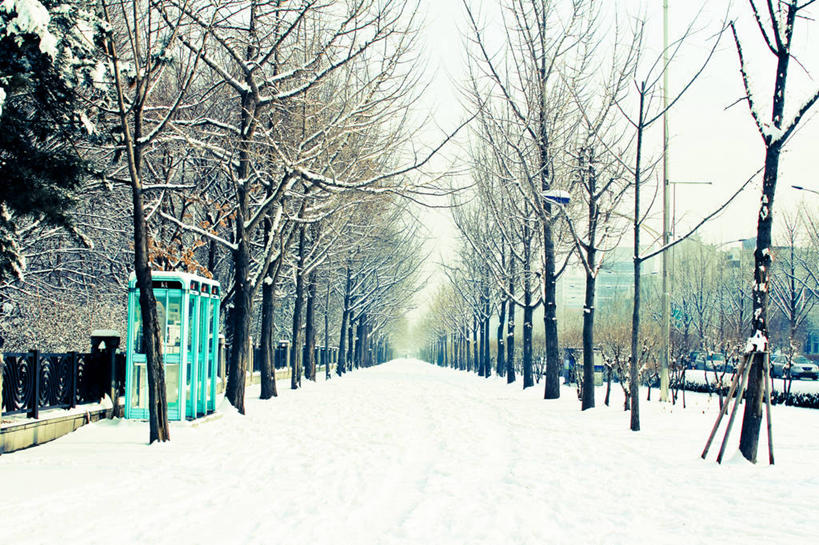 无人,横图,室外,白天,通讯,雪,城市,首尔,韩国,冬天,首都,电话亭,天空,寒冷,摄影,彩图,林荫大道