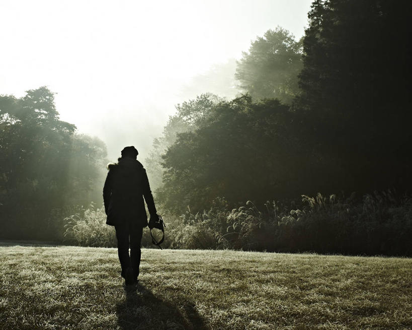 成年人,一个人,横图,室外,相机,广岛县,日光,日本,仅一个男性,阴影,黎明,拿着,树,背面,摄影,早晨,剪影,万里无云,步行,彩图,电影摄影师