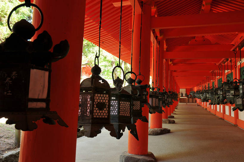 无人,横图,室内,白天,建筑,奈良县,日本,一排,许多,吊挂,悬挂,丰富,日本文化,整齐,灯笼,柱子,很多,挂,排列,摄影,宗教,电,神殿,宗教建筑,队列,春日大社,彩图