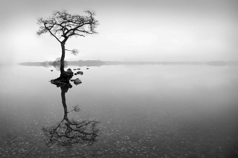 无人,横图,黑白,室外,白天,美景,雾,英国,对称,反射,景观,风景,自然,景色,摄影,宁静,自然风光,万里无云,洛蒙德湖,死水,独处