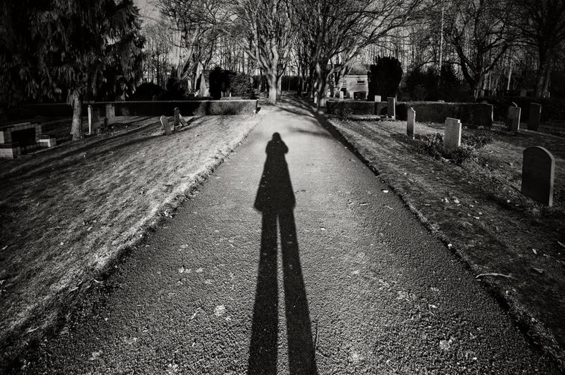 无人,站,横图,黑白,室外,白天,神秘,荷兰,冬天,树,墓地,摄影,死亡,记忆