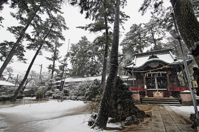 无人,横图,室外,白天,建筑,日本,节日,日本文化,冬天,下雪,天气,文化,树,祈祷,健康,寒冷,许愿,摄影,宗教,信仰,纪念,神道,祈求,神殿,宗教建筑,诹访,神道教,平安,彩图