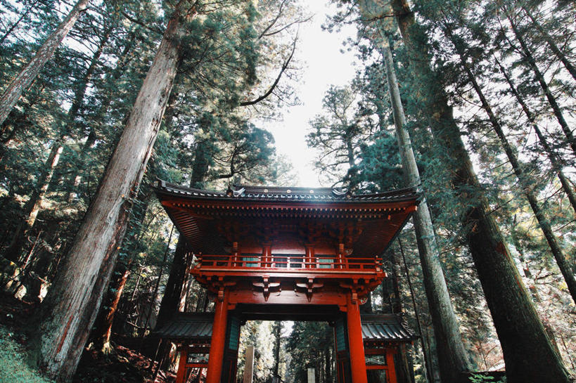 无人,横图,室外,白天,建筑,日本,亚洲,日本文化,树,天空,摄影,宗教,宗教建筑,东亚,本州,关东地方,本州岛,日本国,崎玉,崎玉县,彩图,日高市