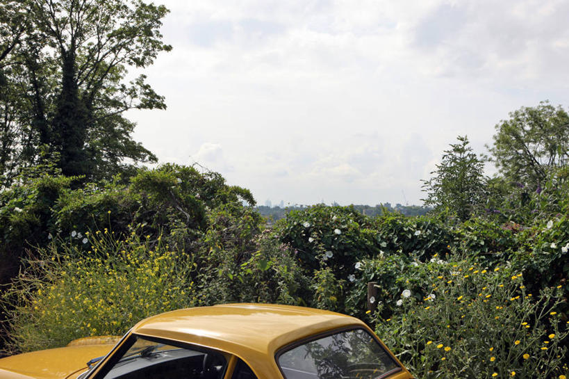 无人,横图,室外,白天,复古,汽车,英国,云,首都,树,黄色,天空,自然,运输,摄影,彩图