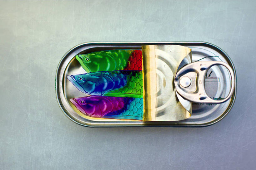 无人,横图,俯视,室内,爱尔兰,并排,罐头,罐子,首都,数码合成,鱼类,摄影,多样,创造力,美术工艺,海产,彩图,高角度拍摄