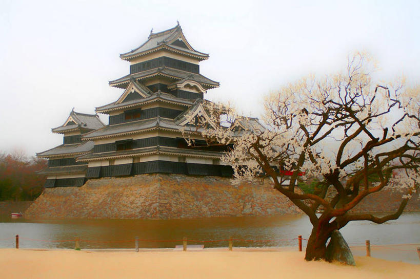 无人,横图,室外,白天,湖,建筑,樱花,长野县,日本,日本文化,樱桃树,自然,摄影,宗教,宁静,改变,万里无云,松本,松本城,秋天,彩图