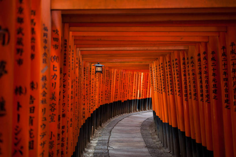 无人,横图,室内,白天,重复,建筑,京都,日本,亚洲,一排,许多,日本文化,整齐,标志,文字,字符,字母,鸟居,很多,标识,排列,橙色,摄影,宗教,京都府,宁静,神殿,队列,东亚,本州,本州岛,日本国,近畿地方,近畿,伏见稻荷大社,伏见区,彩图