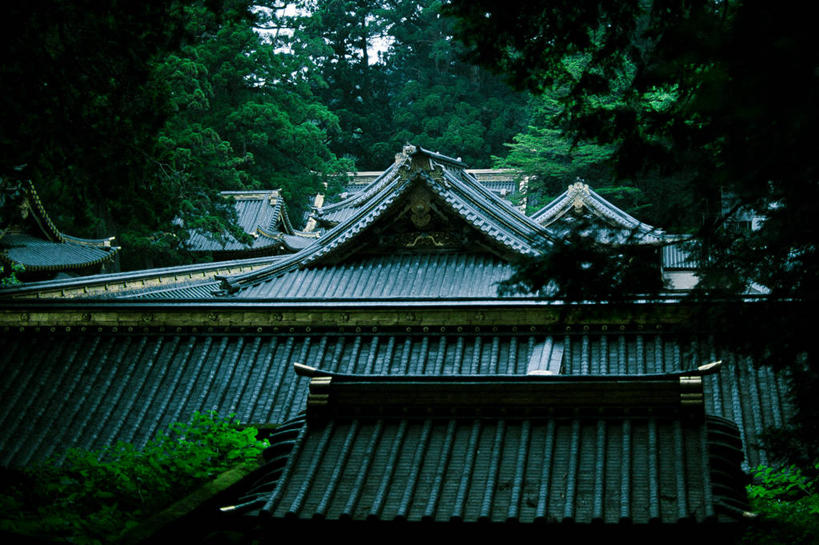 无人,横图,室外,白天,建筑,日本,亚洲,日本文化,屋顶,树,摄影,宗教,神殿,宗教建筑,东亚,本州,枥木县,关东地方,本州岛,日本国,崎玉,崎玉县,式样,彩图,日高市,晕影