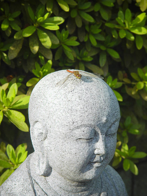 无人,坐,竖图,室外,特写,白天,叶子,东京,日本,蜻蜓,昆虫,标志,雕像,符号,首都,历史,标识,树,摄影,佛教,性别符号,彩图,男性符号,文京区