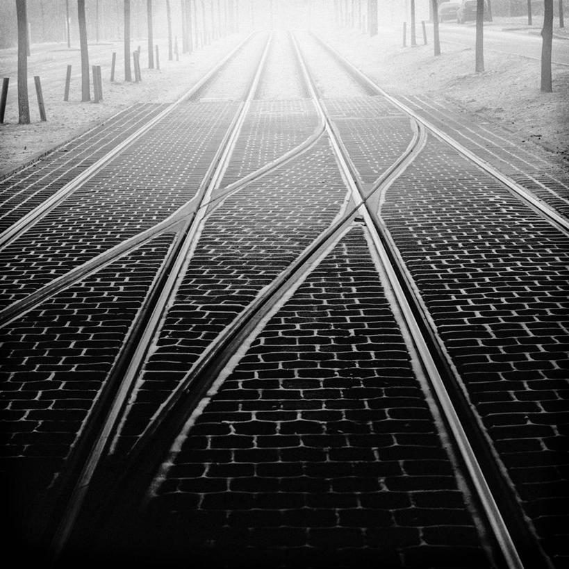 无人,方图,黑白,室外,白天,雾,路,铁路,德国,轨道,交通,铁轨,天气,缆车,树,树干,运输,摄影,宁静,勃兰登堡州,波茨坦