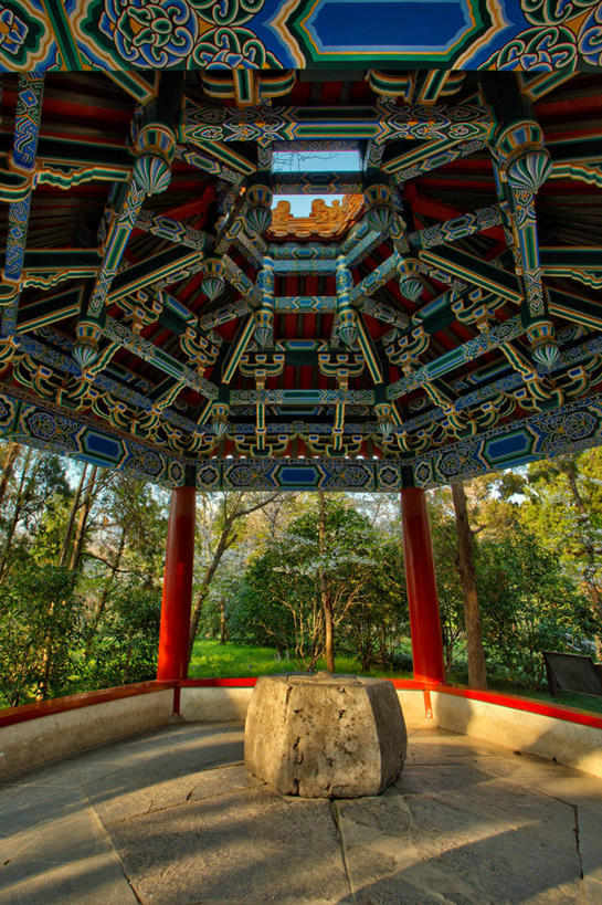 无人,竖图,室内,白天,植物,建筑,南京,庭院,院子,树,摄影,园林,砖地,宁静,中国文化,江苏省,亭台楼阁,彩图