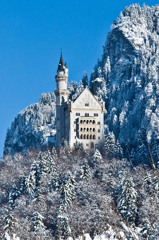 无人,竖图,室外,白天,山,山脉,雪,建筑,德国,城堡,冬天,历史,树,自然,地标建筑,寒冷,摄影,要塞,德国文化,万里无云,新天鹅城堡,巴伐利亚,自然地理,彩图