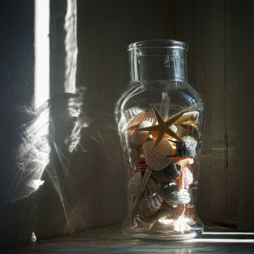 无人,方图,室内,特写,白天,海星,静物,花瓶,日光,法国,欧洲,许多,很多,纪念品,摄影,多样,古董,西欧,法兰西,收集,法兰西共和国,法兰西第五共和国,朗格多克.鲁西永,朗格多克.鲁西永大区,彩图,贝塞尔