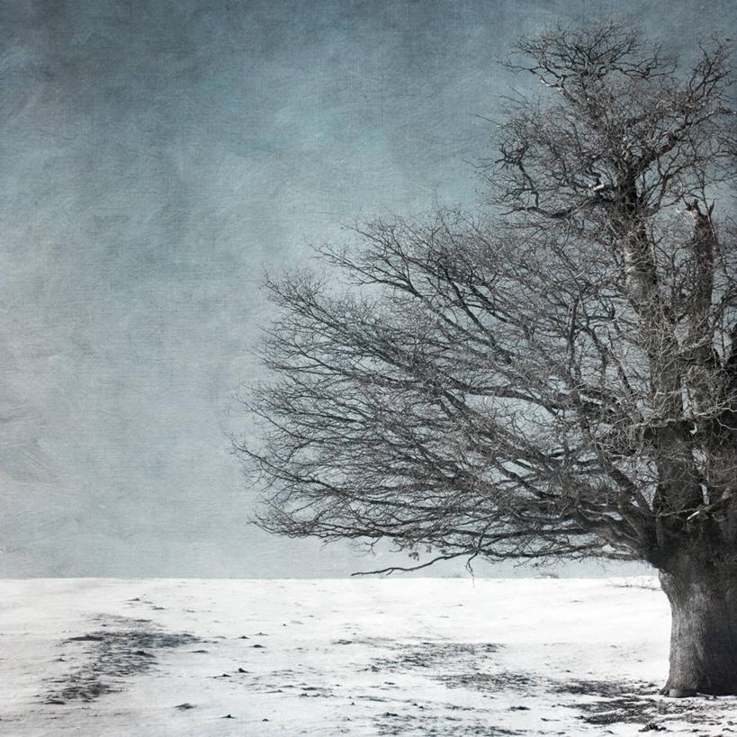 无人,方图,室外,白天,雪,法国,纹路,纹理,下雪,天气,天空,自然,寒冷,摄影,橡树,滨海阿尔卑斯,肌理,彩图,独处