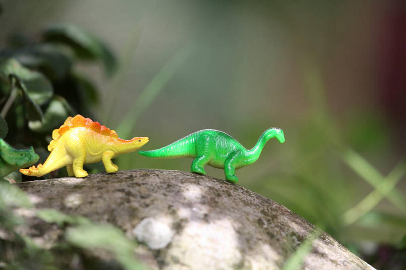 无人,横图,室外,白天,叶子,英国,塑胶,庭院,两个,童年,摄影,幽默,想象,跟随,想法,格洛斯特郡,岩石,步行,彩图