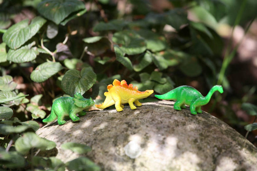 无人,横图,室外,白天,玩具,叶子,英国,一排,整齐,塑胶,庭院,排列,三个,童年,摄影,幽默,队列,想象,跟随,想法,格洛斯特郡,岩石,步行,彩图